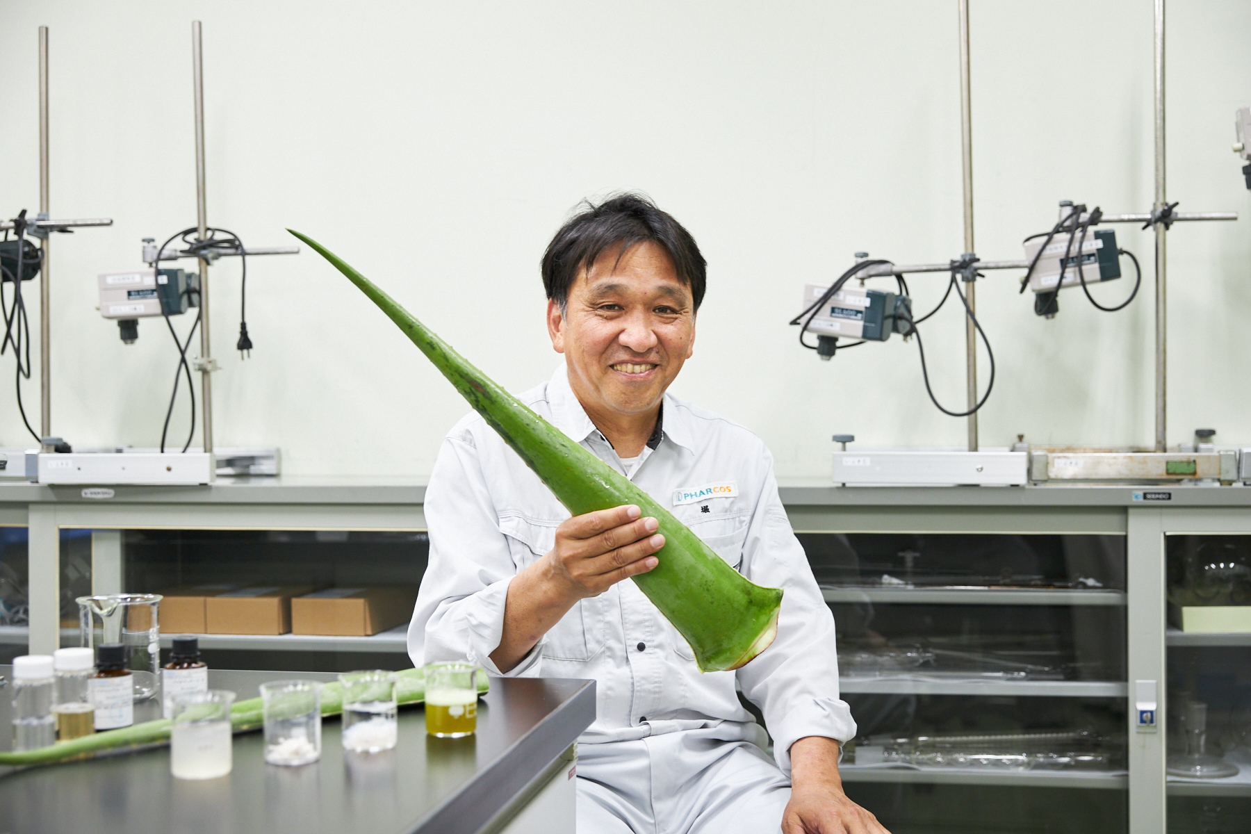 ハンドケアに有効！といわれるアロエの秘密